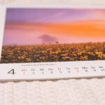 Kalender24Werbung-06334